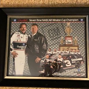 Dale Earnhardt 1994 framed picture
